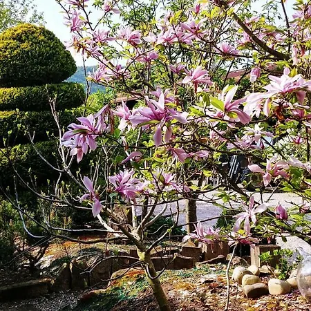 Au Centre De L'alsace * Scherwiller