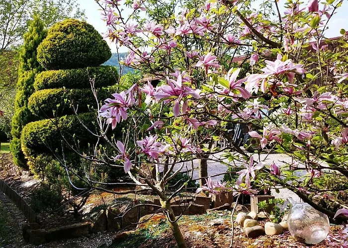 Au Centre De L'alsace * Scherwiller